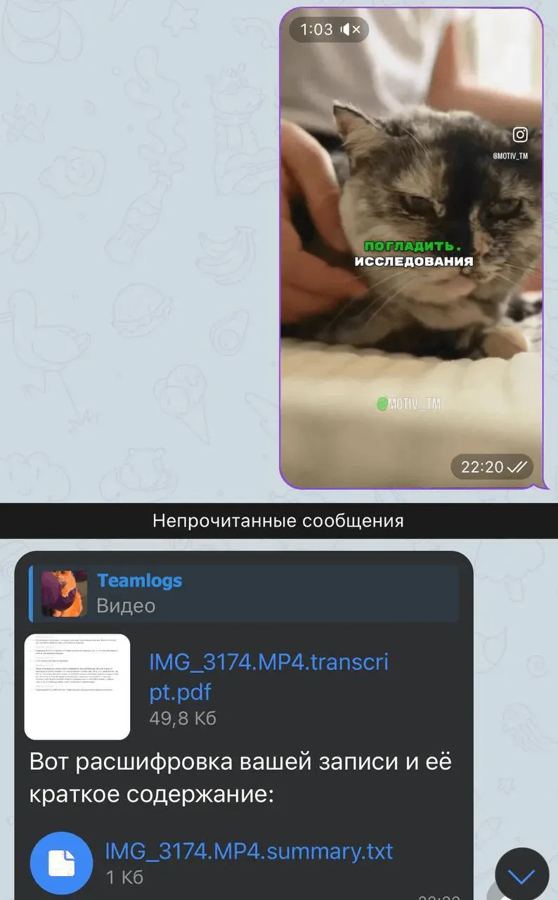 Войси