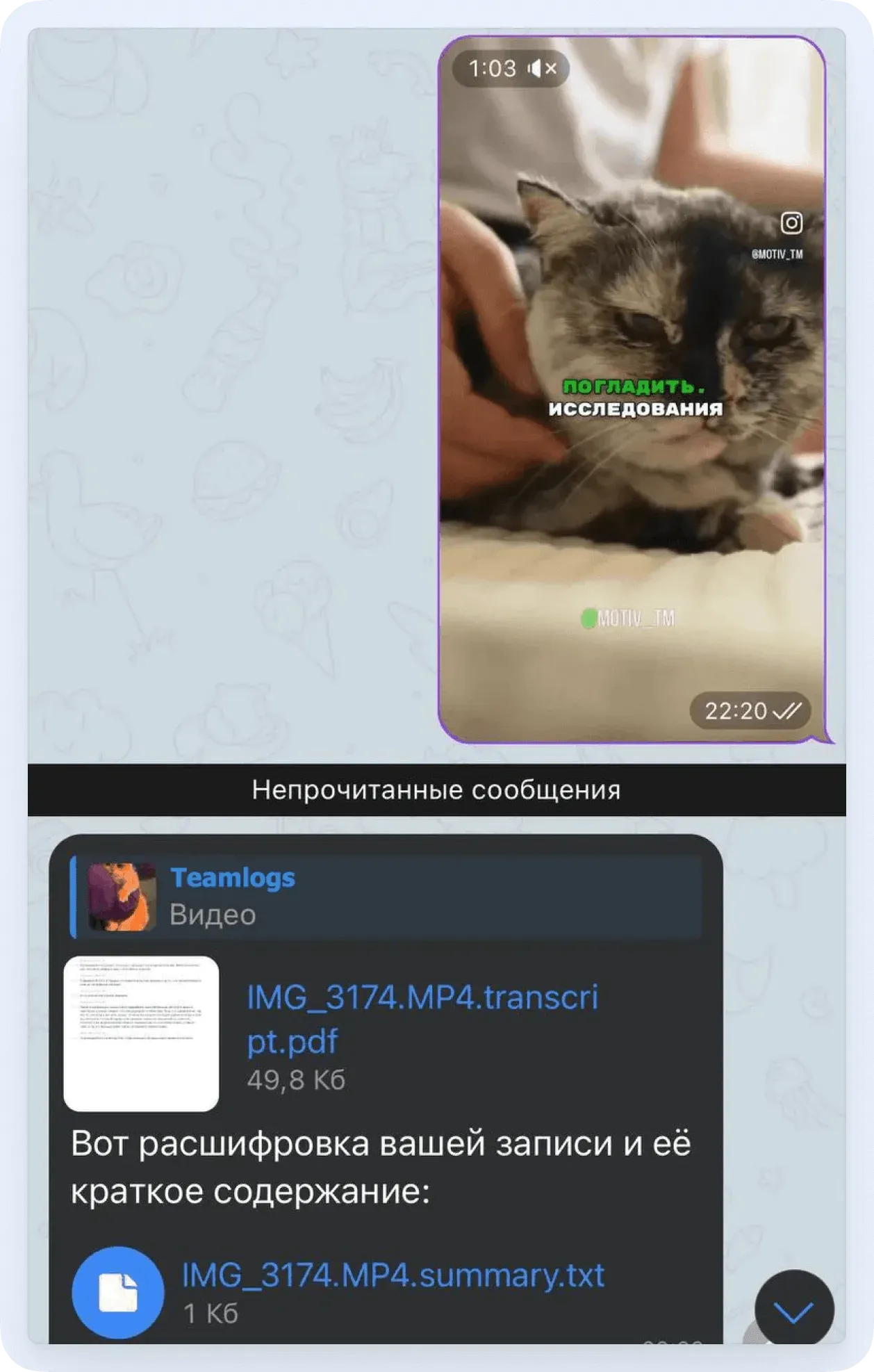 Войси