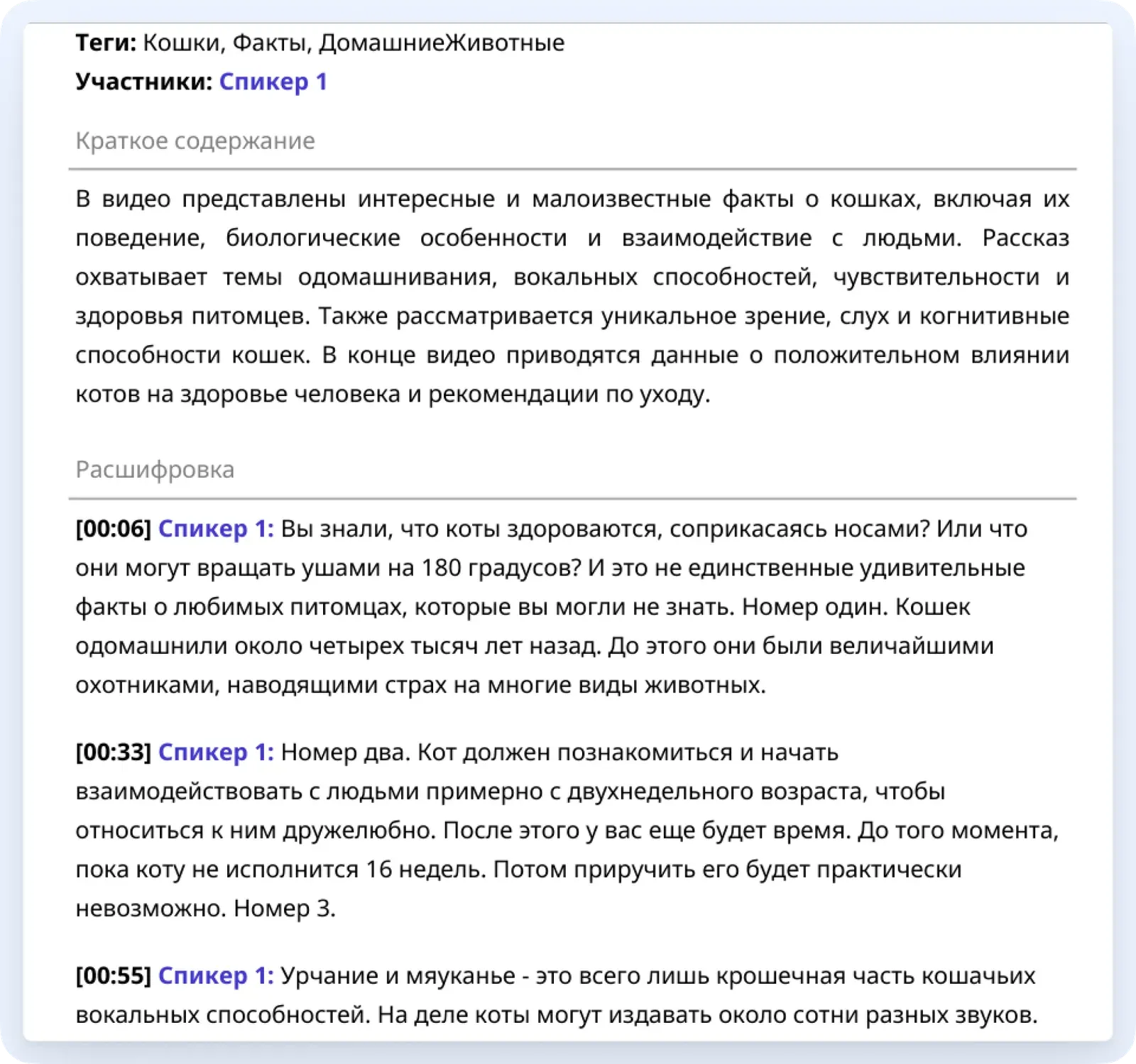 расшифровка интервью